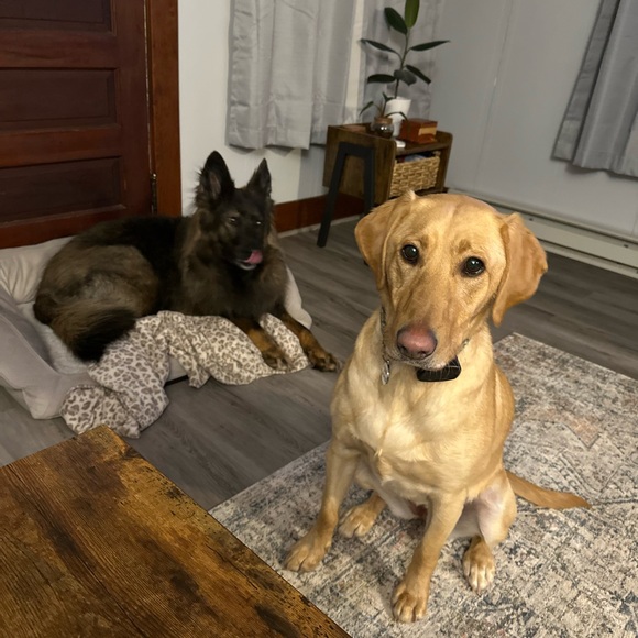 NEW ITEMS COMING SOON - Picture 6 of 8